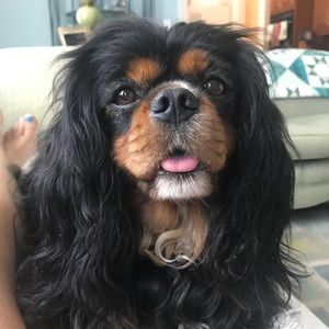 Meet your Posher, Nora